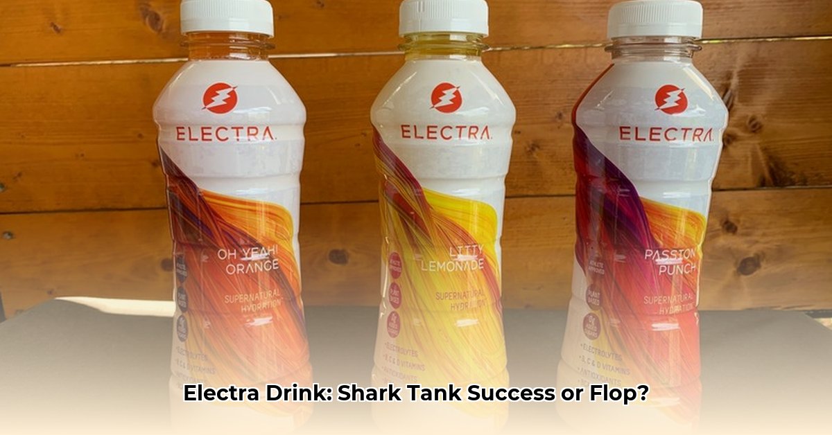 electra-drink-net-worth